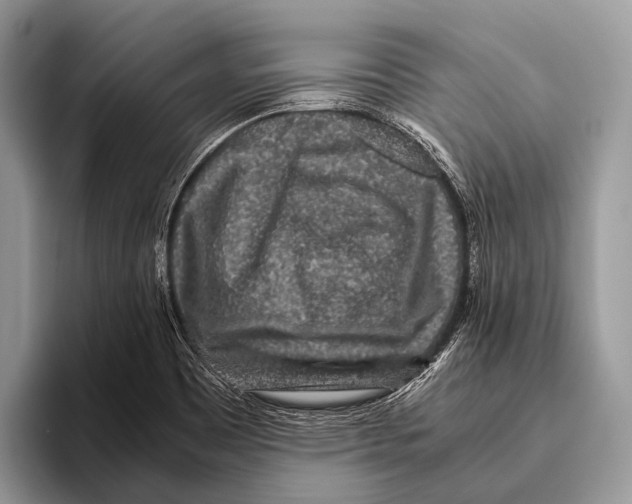 X0000095941465200802081227