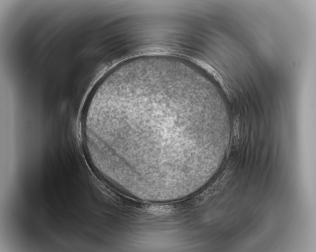 X0000095941466200802081227