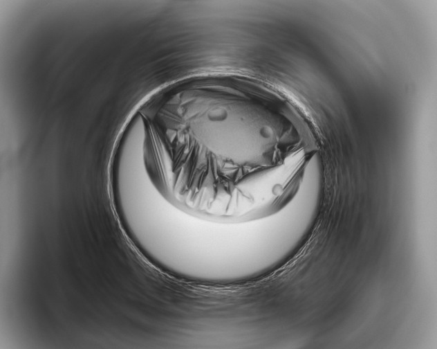 X0000095941468200802081227