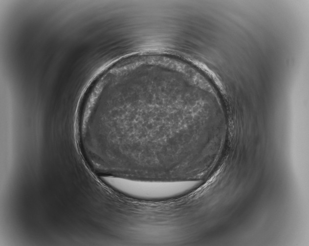 X0000095941469200802081227