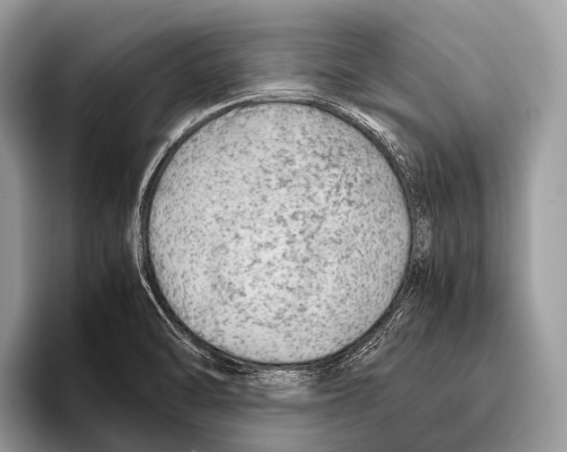 X0000095941470200802081227