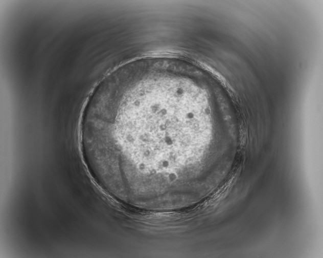 X0000095941471200802081227