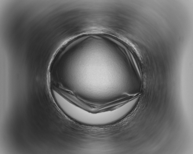 X0000095941472200802081227