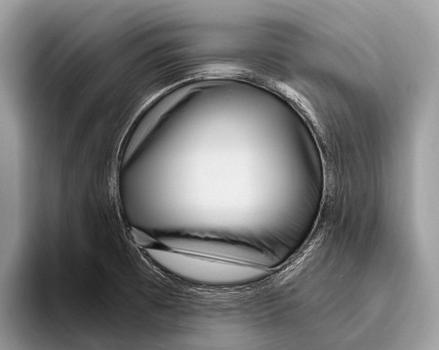 X0000095941473200802081227