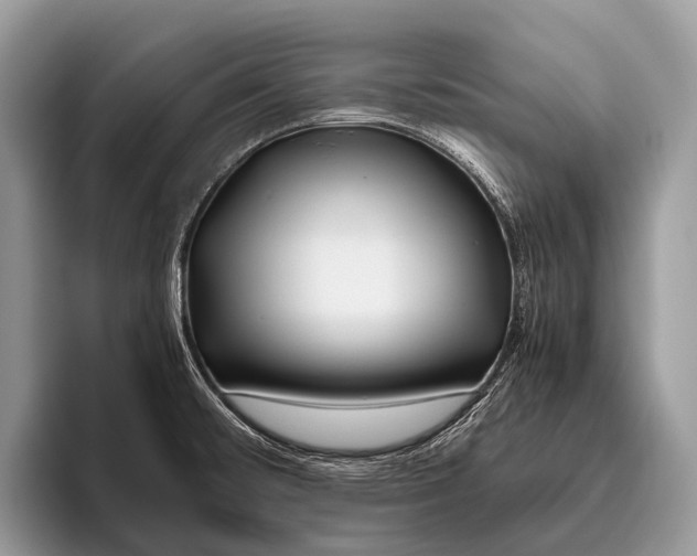 X0000095941476200802081227