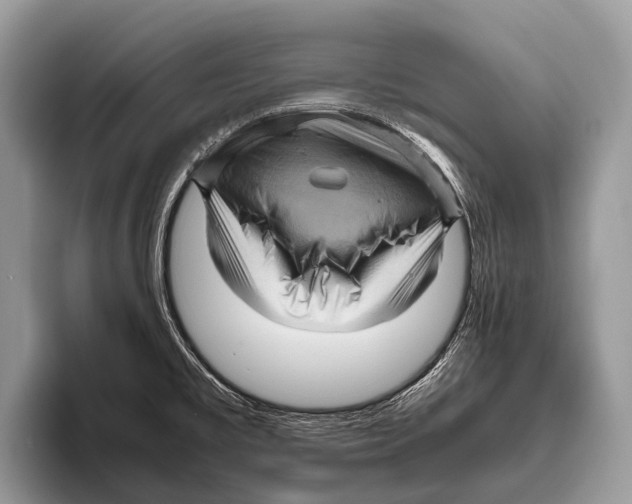 X0000095941477200802081227