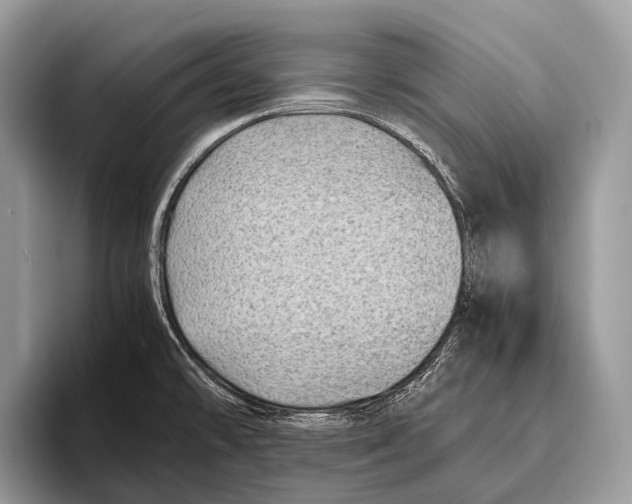 X0000095941478200802081227