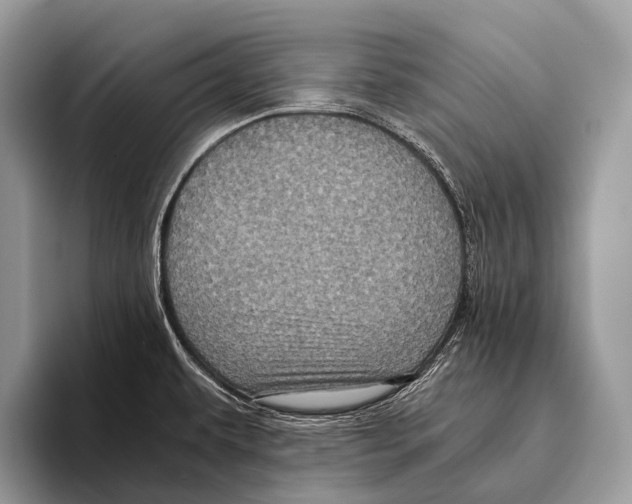 X0000095941479200802081227