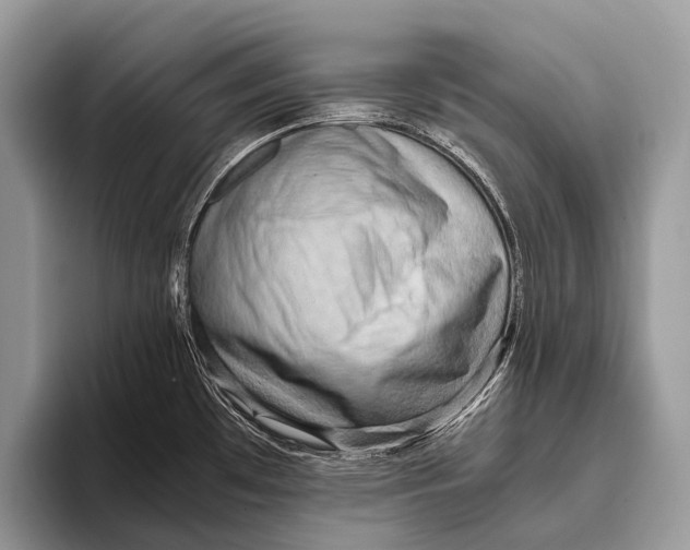 X0000095941481200802081227