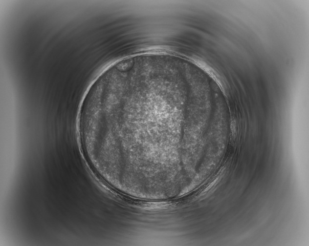 X0000095941482200802081227