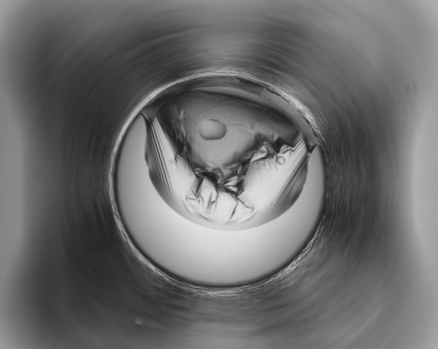 X0000095941484200802081227