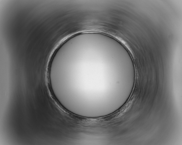 X0000095941485200802081227