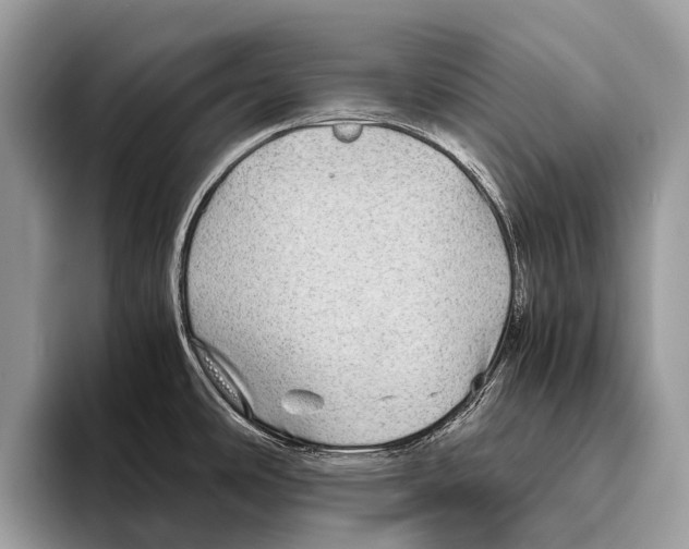 X0000095941486200802081227