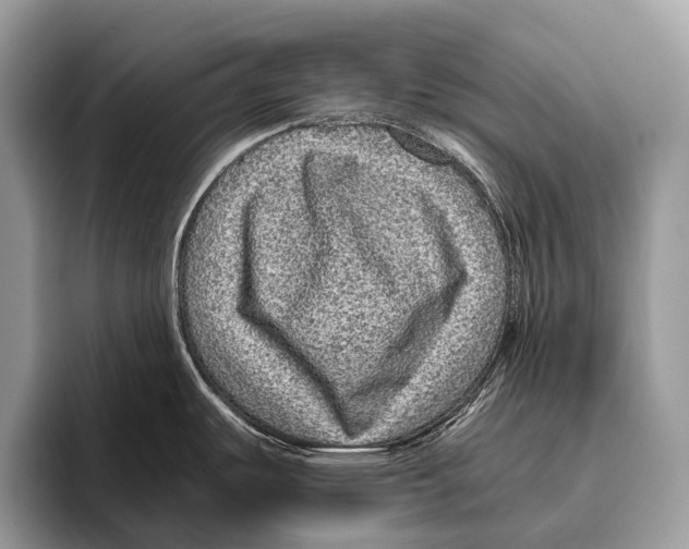 X0000095941487200802081227