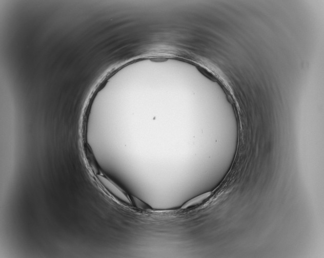 X0000095941488200802081227