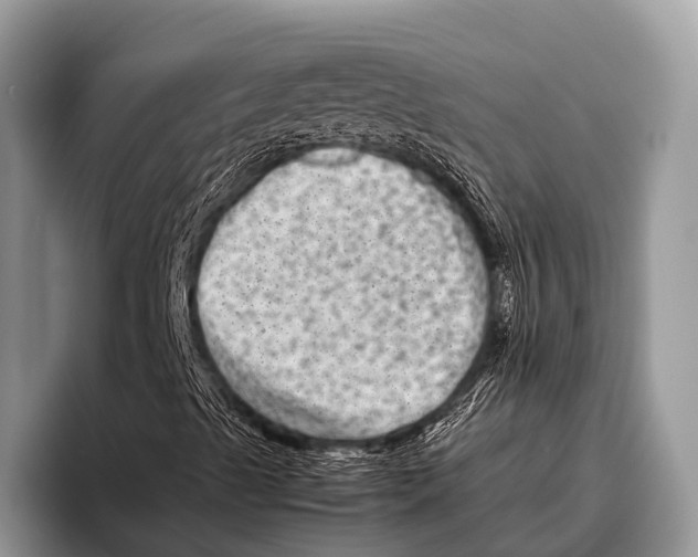 X0000095941489200802081226