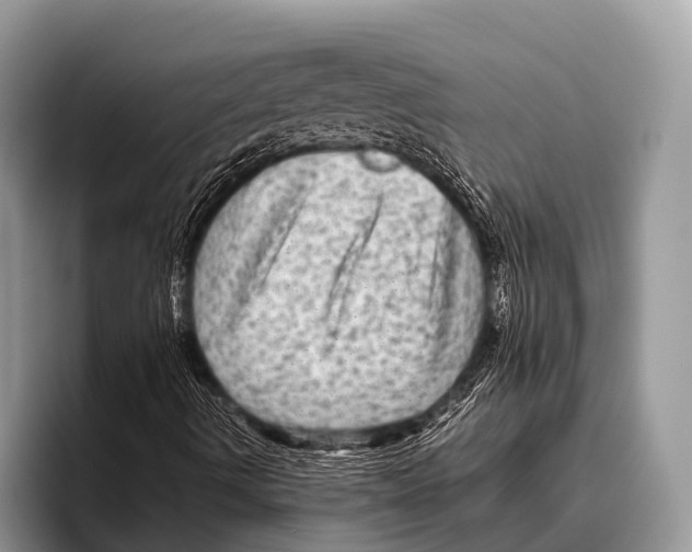 X0000095941490200802081226