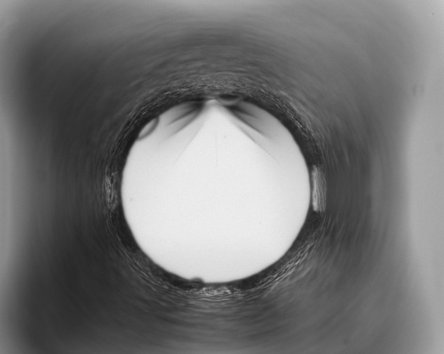 X0000095941491200802081226