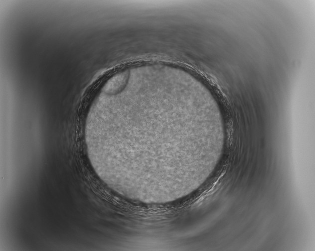 X0000095941494200802081226