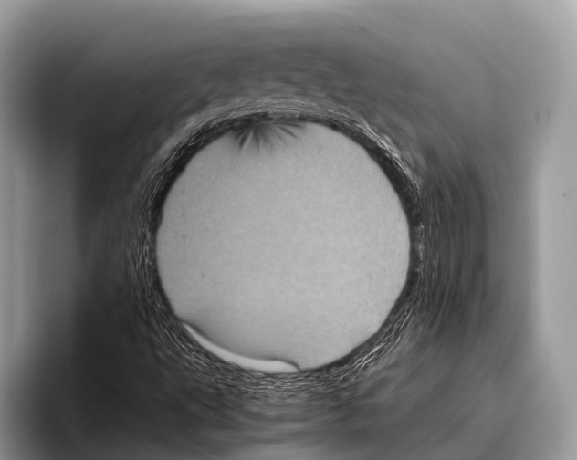 X0000095941495200802081226