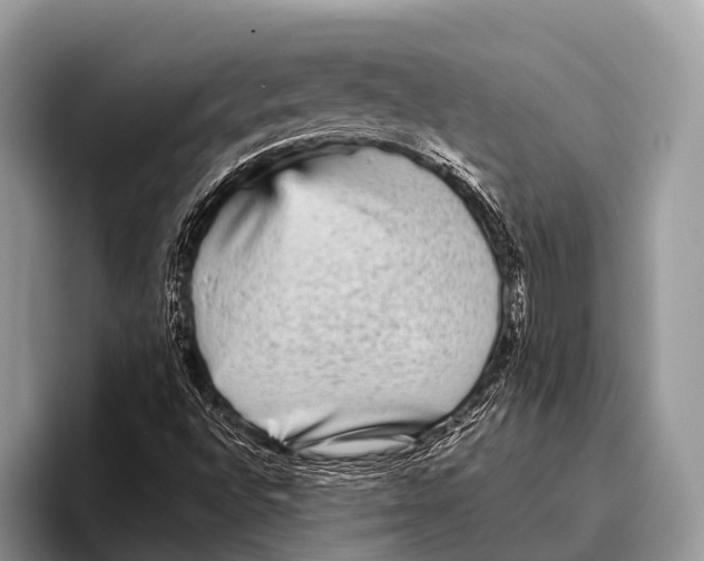 X0000095941496200802081226