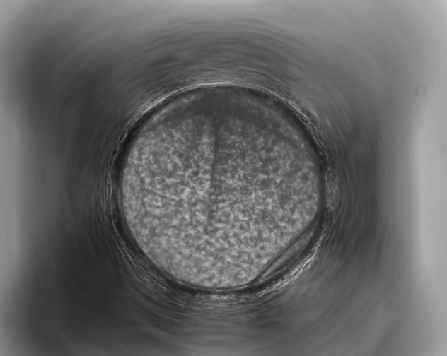 X0000095941497200802081226