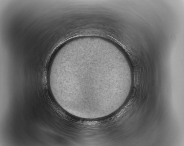 X0000095941498200802081226