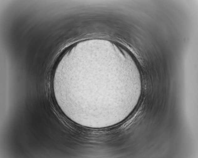 X0000095941499200802081226