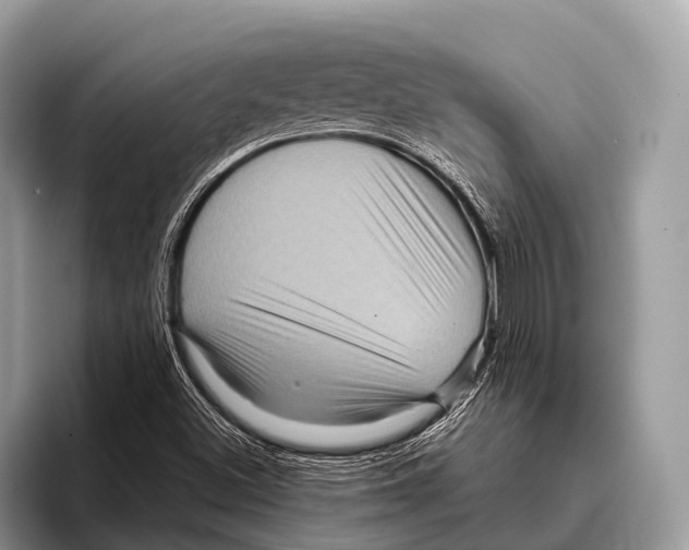 X0000095941500200802081226