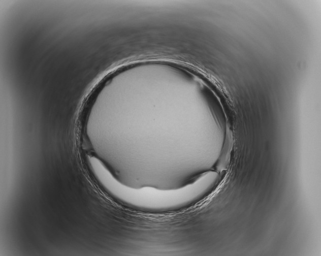 X0000095941502200802081226