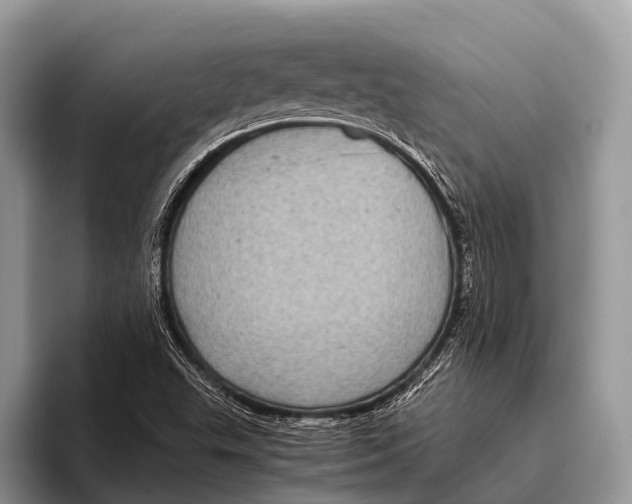 X0000095941503200802081226