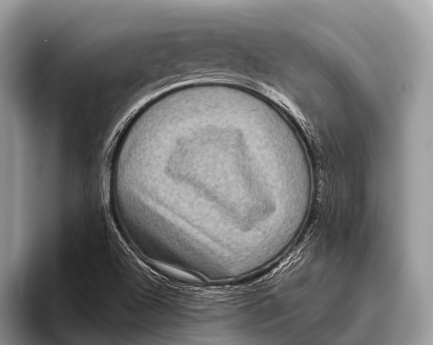 X0000095941504200802081226