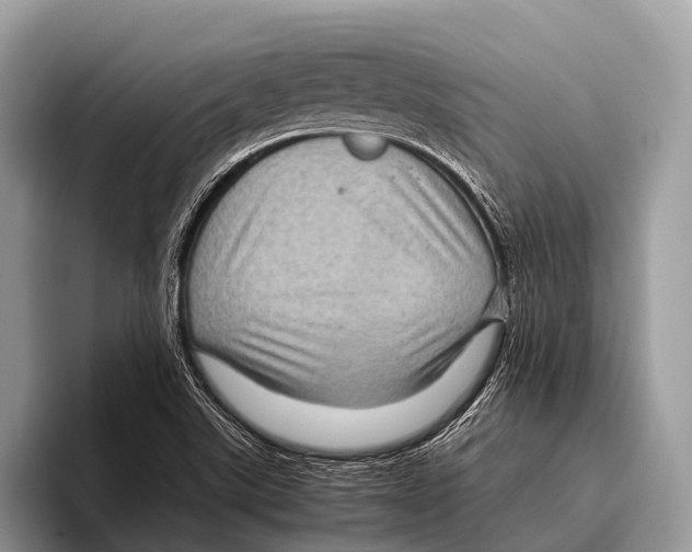 X0000095941507200802081226