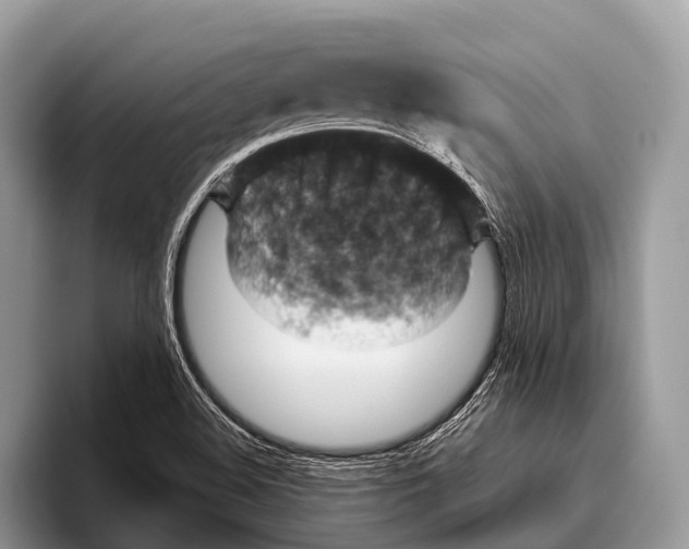 X0000095941508200802081226