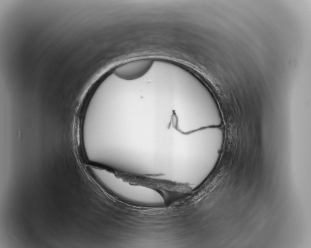 X0000095941510200802081226