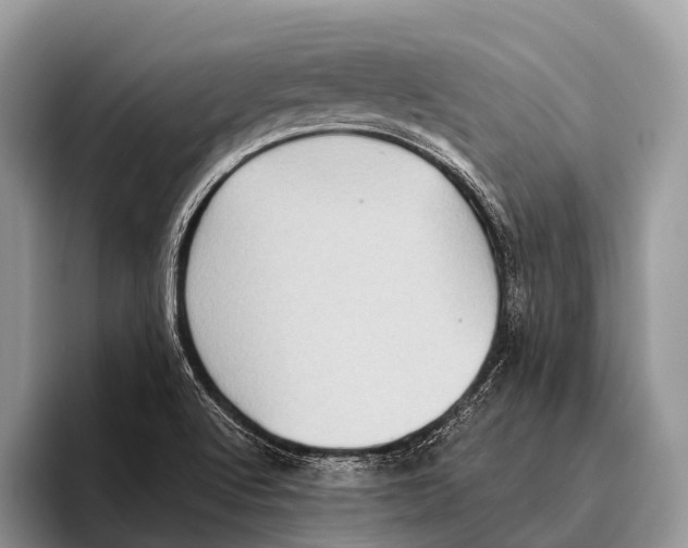 X0000095941512200802081226