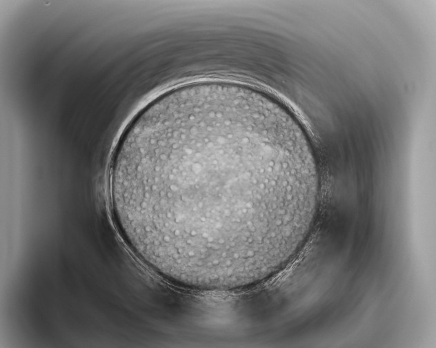 X0000095941514200802081227