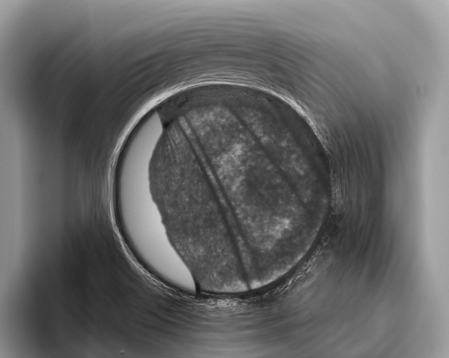 X0000095941515200802081227