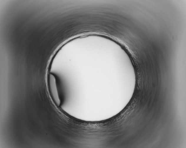 X0000095941516200802081227