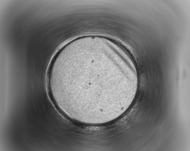 X0000095941517200802081227