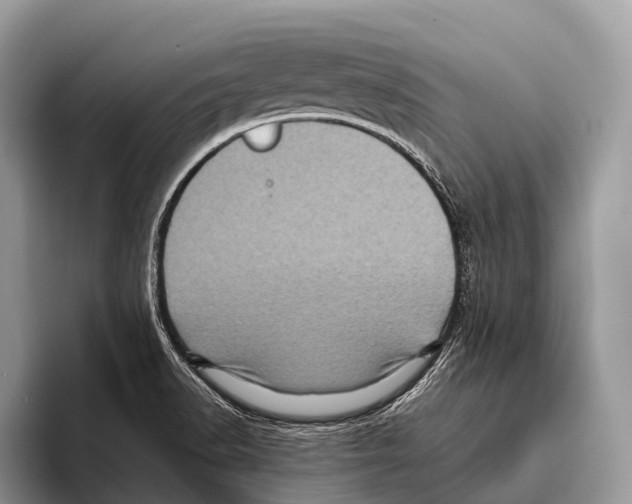 X0000095941518200802081227