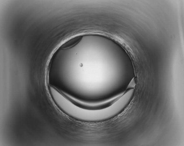 X0000095941520200802081227