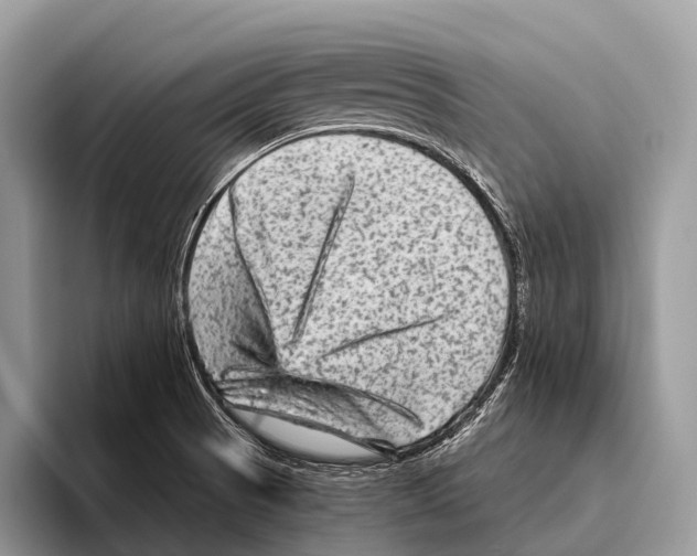 X0000095941521200802081227