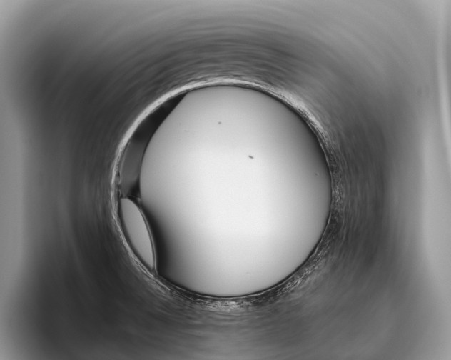 X0000095941524200802081227