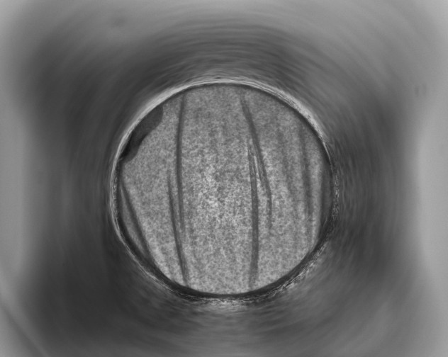 X0000095941525200802081227