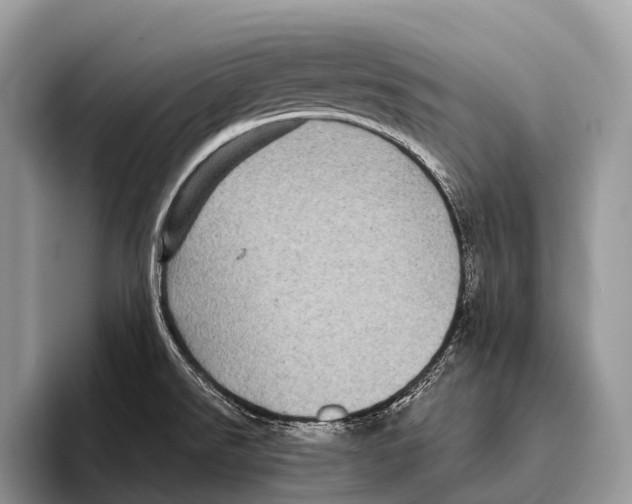 X0000095941526200802081227