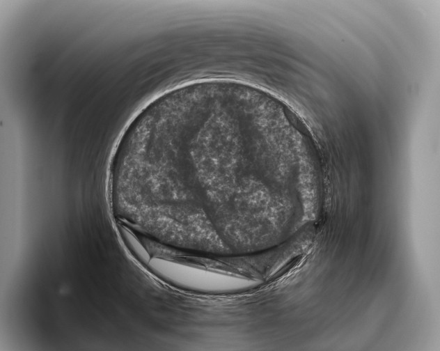 X0000095941527200802081227