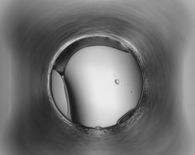 X0000095941528200802081227