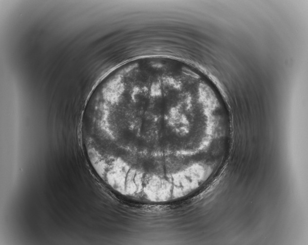 X0000095941529200802081227