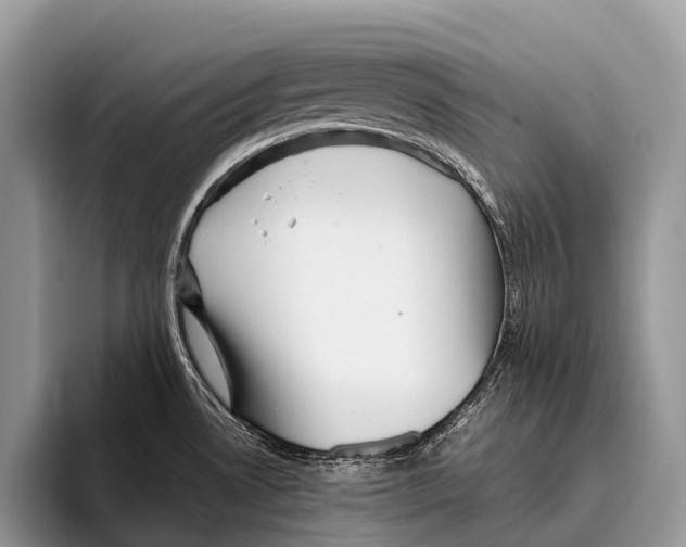 X0000095941530200802081227